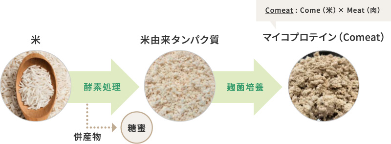 マイコプロテインとは？