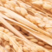 アレルゲンフリー